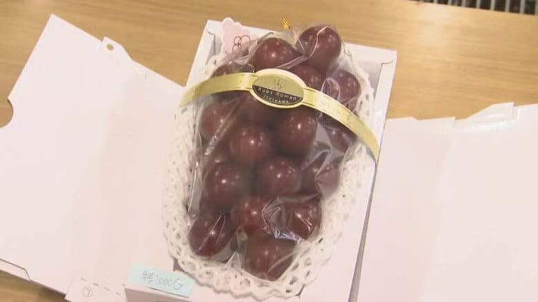 一房100万円「12年連続」の高級ブドウ　石川県産ルビーロマンの初競り｜FNNプライムオンライン