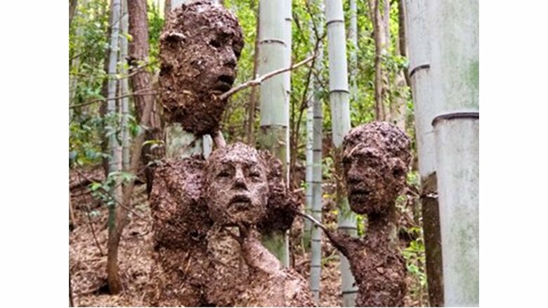 竹林に出現した“顔アート”が不気味…作者は美大生 コロナ禍で生まれた作品だった｜FNNプライムオンライン