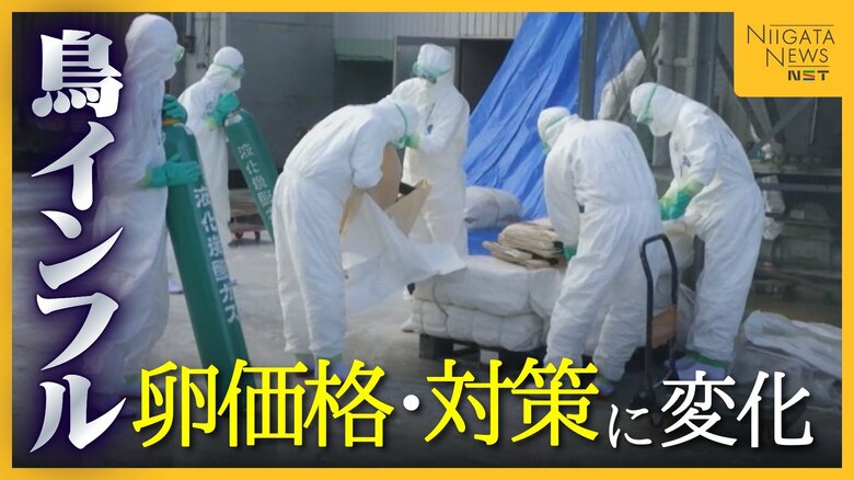 【鳥インフル】猛威振るった22年度に何が起きた!? 約257万羽殺処分で卵の価格や対策に変化|FNNプライムオンライン