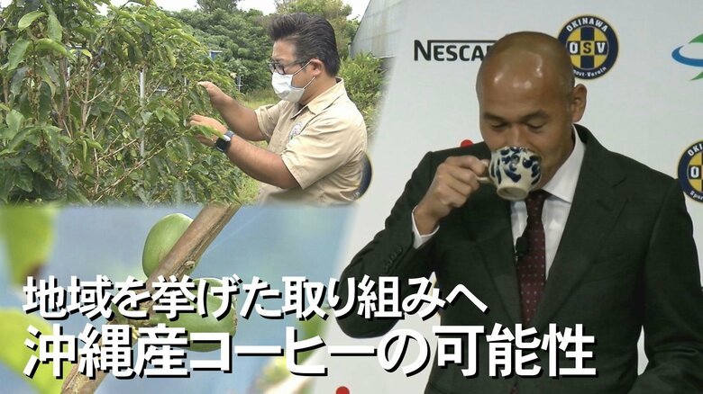 サッカー元日本代表・髙原直泰が描く「沖縄産コーヒーの未来」　選手が植えた木から豆収穫へ…地域問題も解消｜FNNプライムオンライン