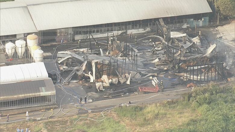 「牛舎が激しく炎上している」新潟・新発田市で牛舎燃える火事…牧場では約100頭の牛を飼育も牛への被害分からず｜FNNプライムオンライン