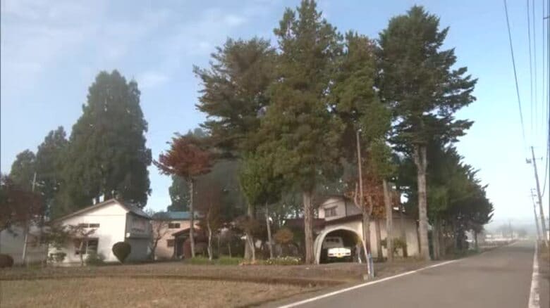 70代男性、背後からクマに襲われ太ももけが　「一瞬だった」襲われた当時の心境語る　秋田・大仙市｜FNNプライムオンライン