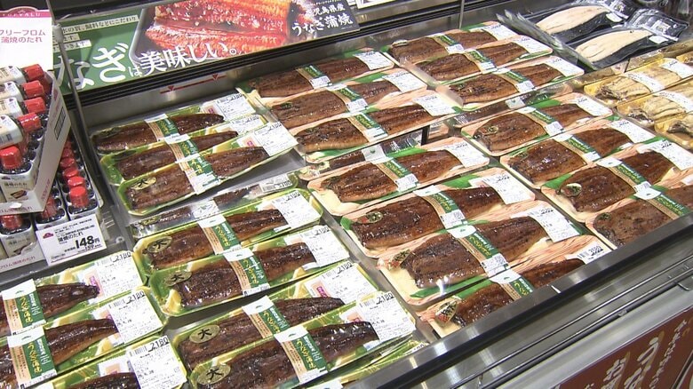 土用の丑の日まで1カ月　イオンが「去年より500円安い」うなぎの蒲焼きを発表　2025年の稚魚豊漁を背景に供給量増｜FNNプライムオンライン