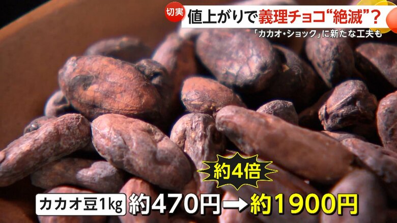 【何が】「義理チョコはあげない」カカオ豆値上がりし“史上最高金額”に…チョコレートの価格上昇で義理チョコ“絶滅”か　「カカオ・ショック」に新たな工夫も｜FNNプライムオンライン