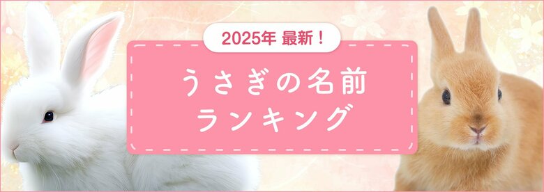 【2025年最新】うさぎの名前ランキングを発表!