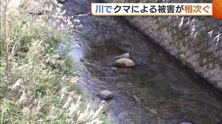 川で“クマ被害”相次ぐ…専門家「川はクマの移動経路になっている場合ある」 山に近い川には注意を 新潟｜FNNプライムオンライン