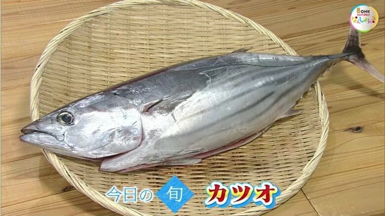 【瀬戸内旬紀行】栄養が豊富な回遊魚「カツオ」…秋は脂乗り抜群！おすすめの食べ方は？【岡山・香川】｜FNNプライムオンライン