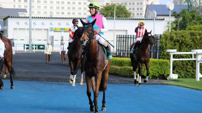 【競馬】函館競馬が開幕　函館スプリントステークスは北村友一騎乗のビューロマジックが優勝「トップスプリンターの素質がある」　宝塚記念に向け「馬の力を出し切れるように」｜FNNプライムオンライン