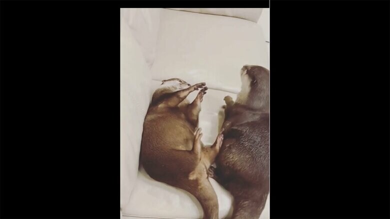 （Instagramより）