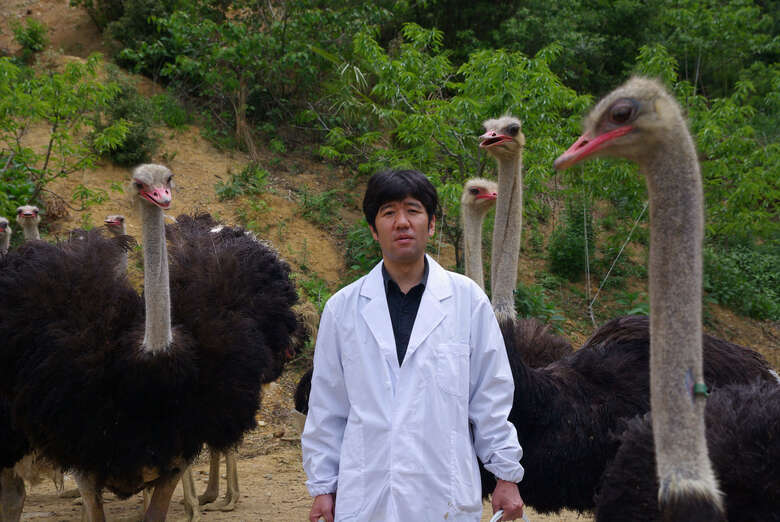 提供：塚本康浩