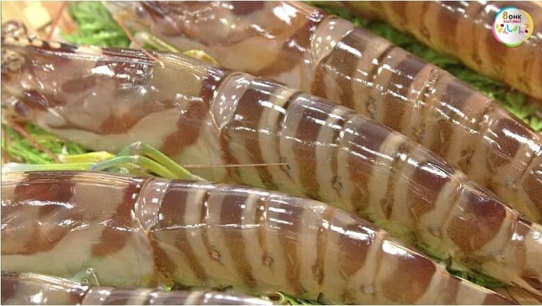 褐色のしま模様が特徴