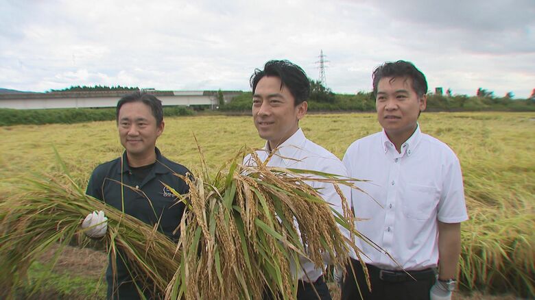 コメづくりの現場を視察する小泉氏（2024年）