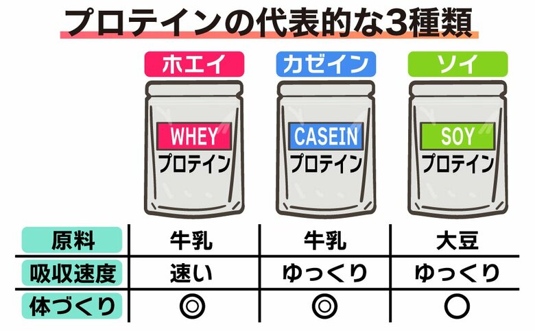 プロテインの代表的3種類とその特徴