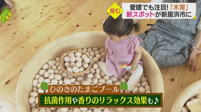 ひのきのたまごプール