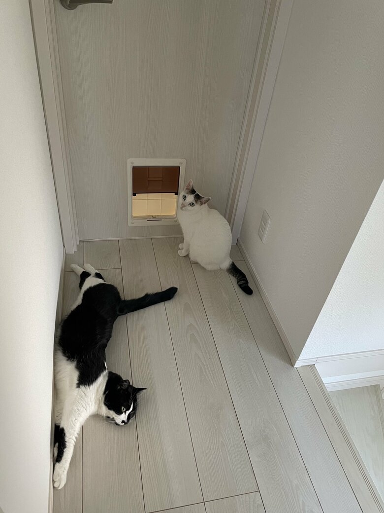 左：トンちゃん　右：シノさん（提供：卵山玉子先生）