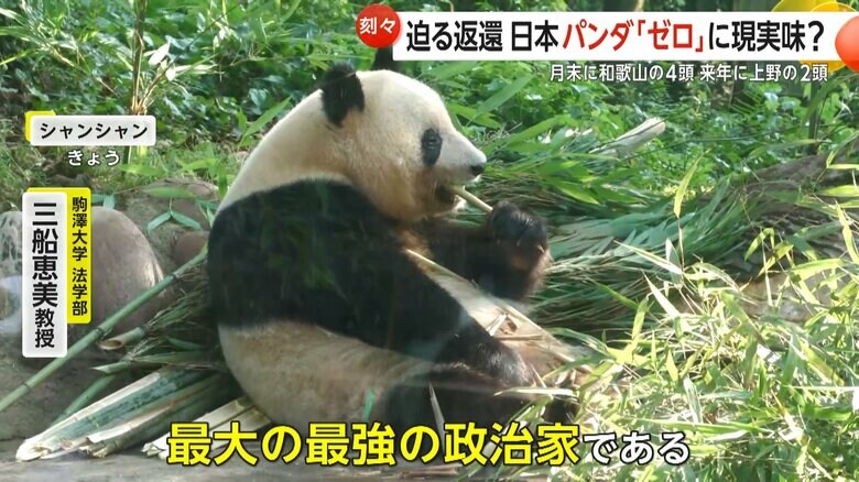パンダは「最大の最強の政治家」と話す駒澤大学法学部・三船恵美教授