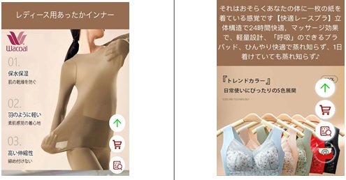 消費者庁が公開した偽サイト