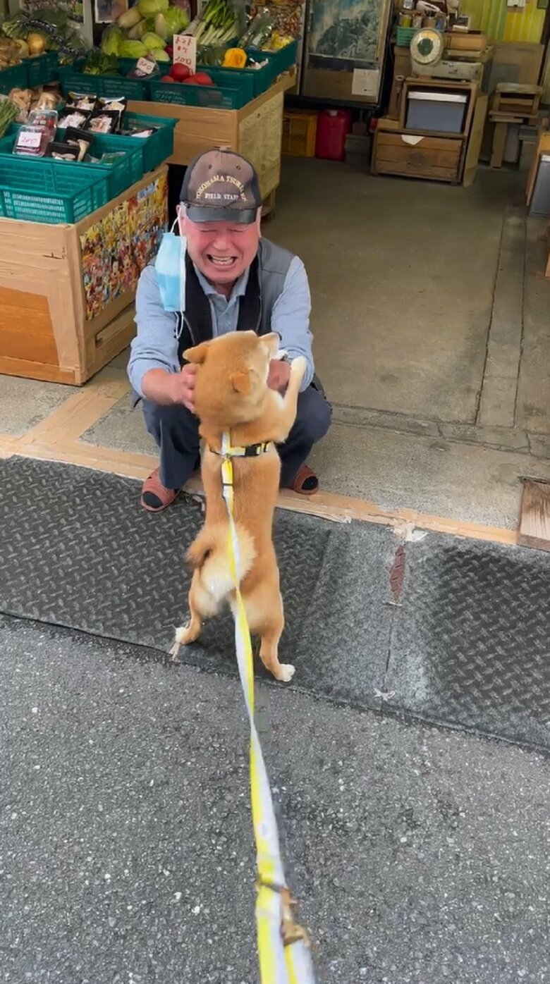 おっちゃんはひたすらにマメちゃんをなでなでする