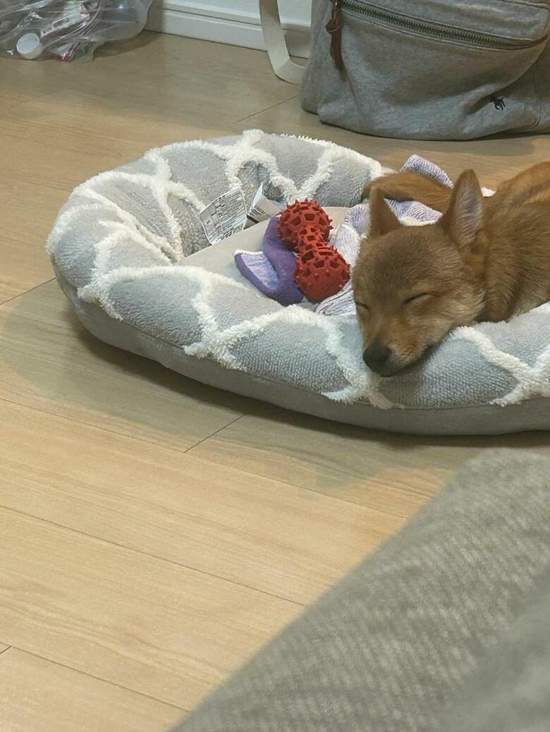 提供：あちさん