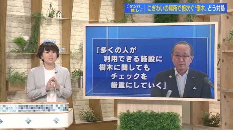 久保田千晶記者