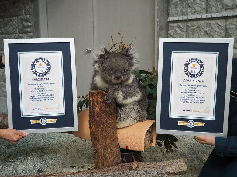 2つのギネス世界記録を保持（提供：イングランドの丘）