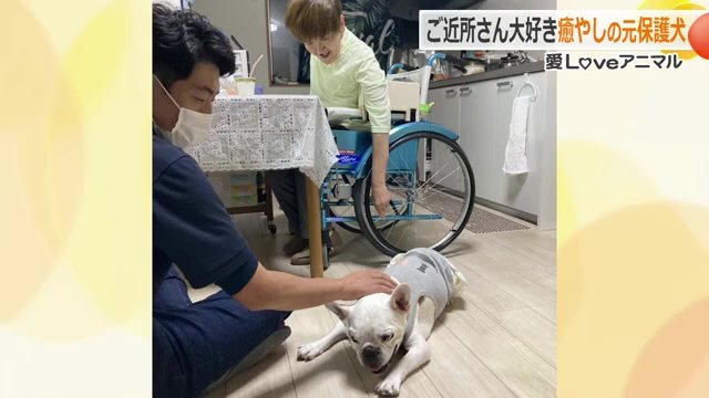 先代のギモーブくん