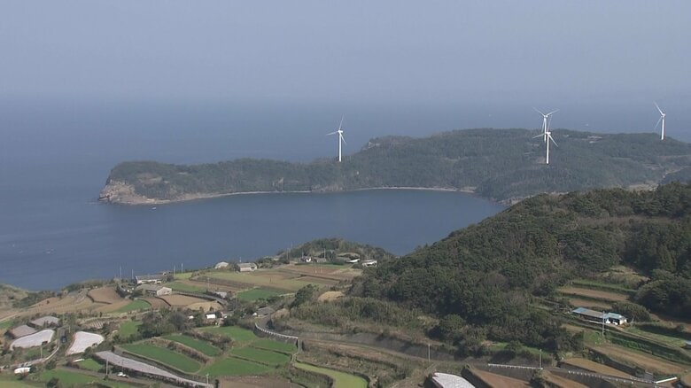 「花粉がない島」として知られる長崎県平戸市・的山大島（2024年取材時）