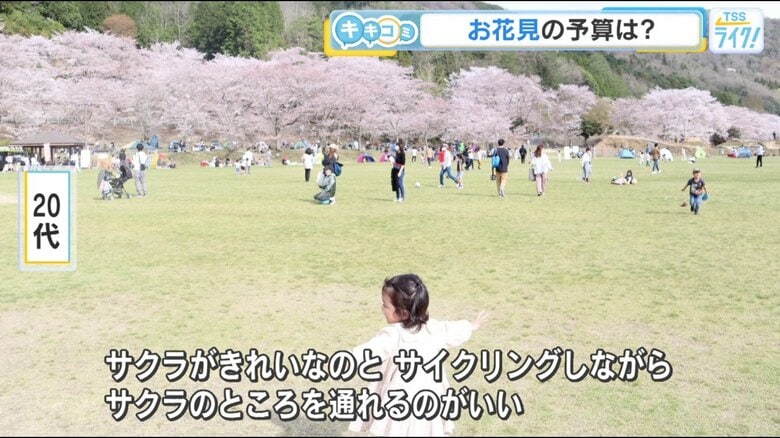 人気の花見スポットの一つ、土師ダムにて（父親提供）