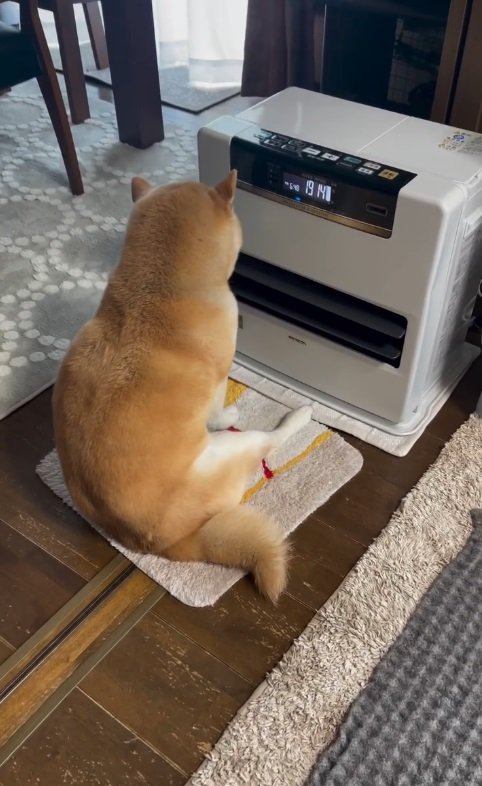 味のある背中…