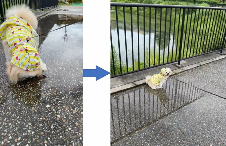 ピチャピチャしたりした後に、ゆっくり腰を下ろした