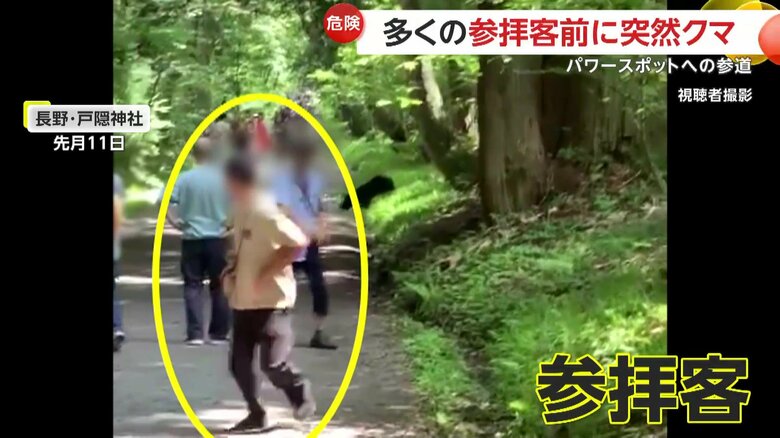 クマに気づき逃げ惑う参拝客（視聴者撮影）
