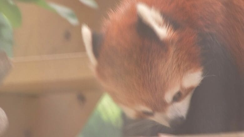 すくすくと育ったね