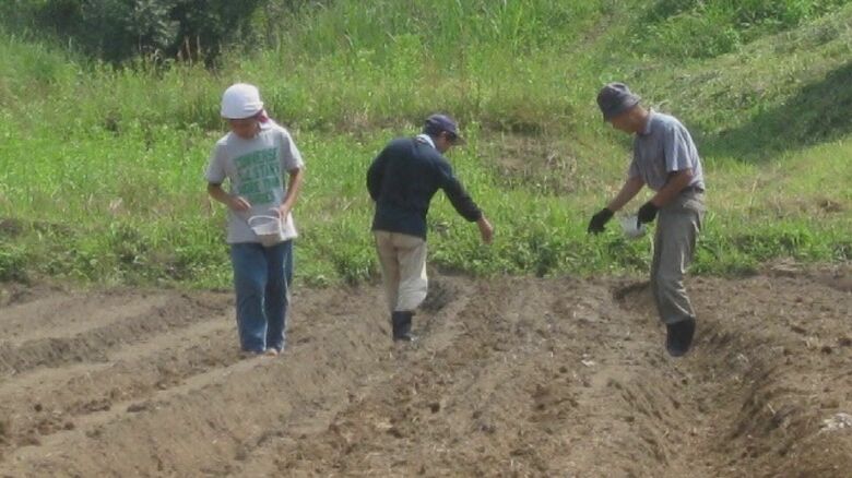 種まきを手伝う子ども時代の松岡匠さん（写真提供）