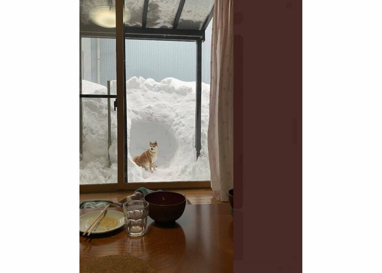 提供：あおとはなさん