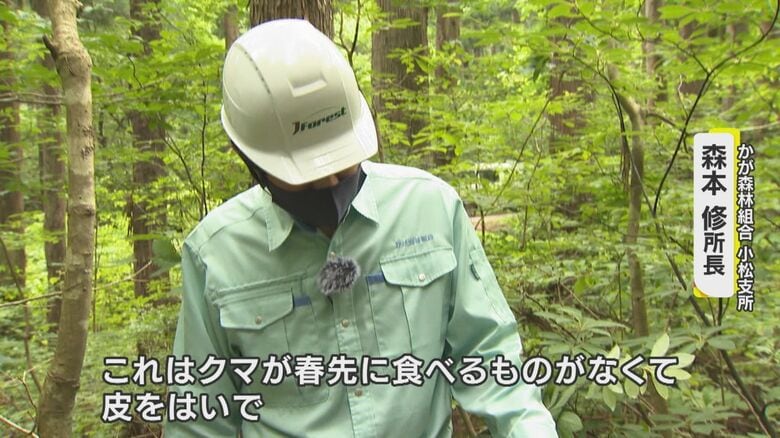 山林でもクマの被害の報告が…