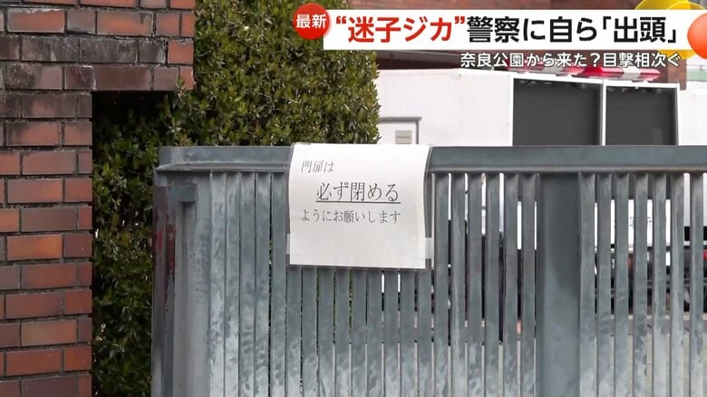 必ず閉めるようにお願いしますと書かれた門の張り紙