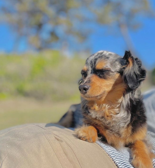 提供：チワックスの諭吉くん。さん