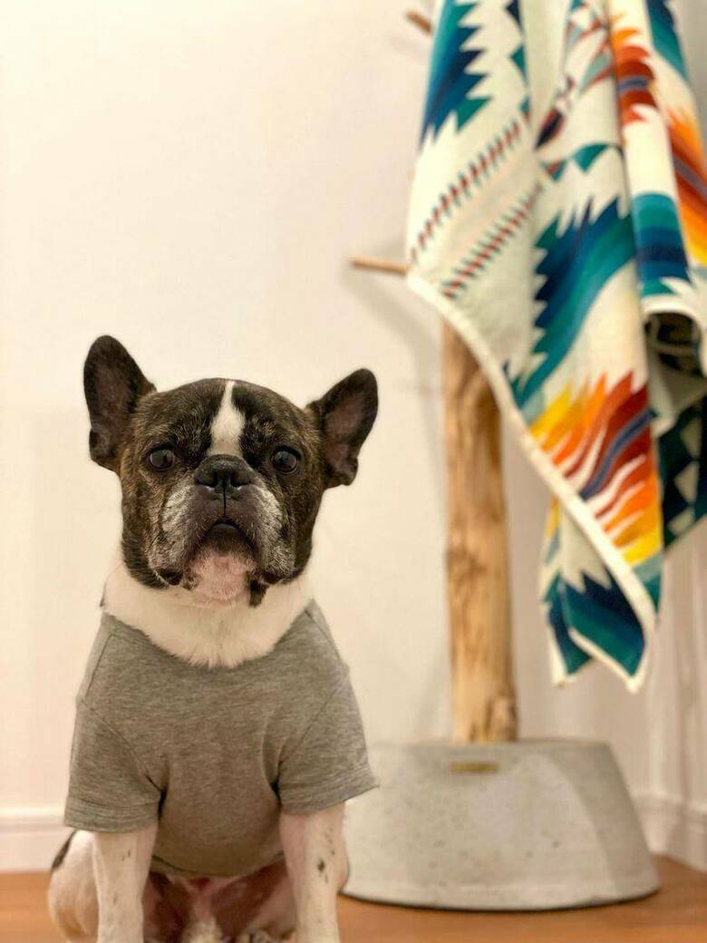 提供：丸男さん