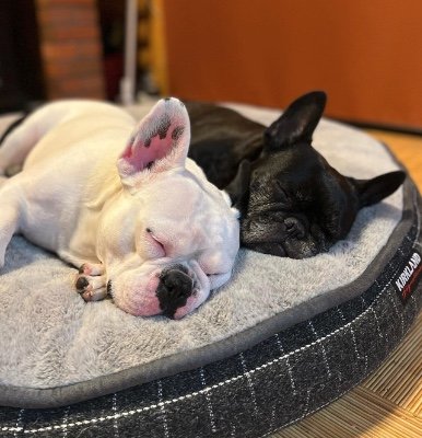 提供：天使の笑顔さん