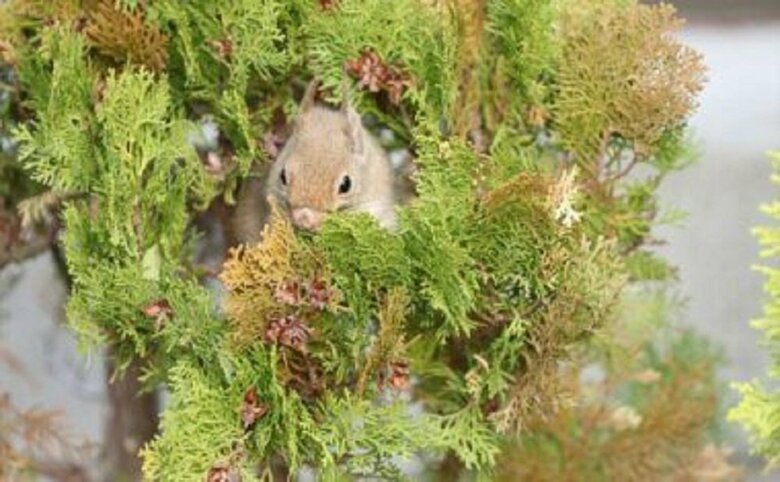（提供：神戸どうぶつ王国）