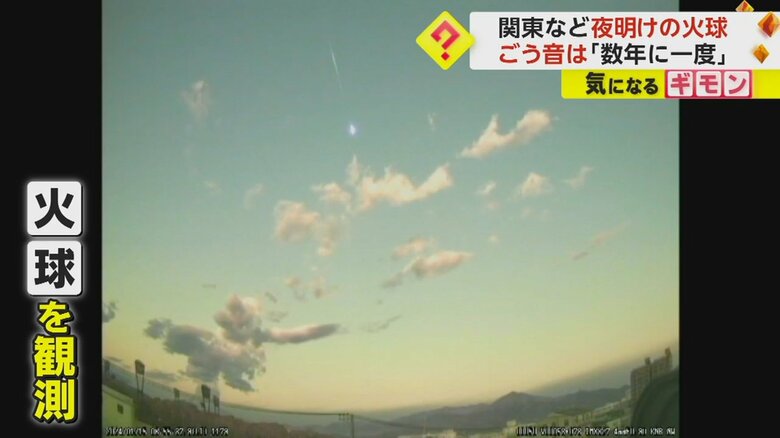 （提供：平塚市博物館 藤井大地さん）