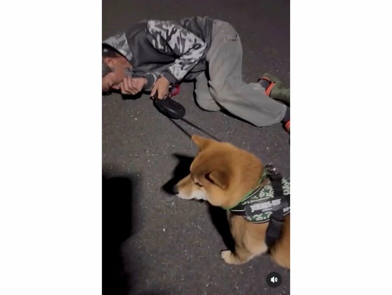 提供：カンさん