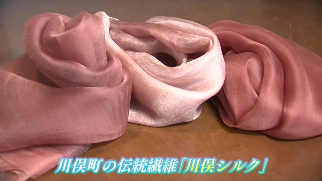 福島県川俣町の「川俣シルク」