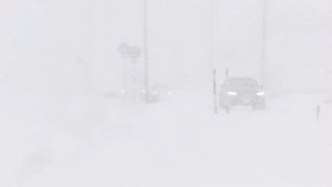 【日本海側で大雪】早くもホワイトアウト状態…札幌市北区で降雪約20センチ「車出せなくて困ってる」今季初の雪かきに追われ…JR札幌～旭川間で8本運休〈北海道〉
