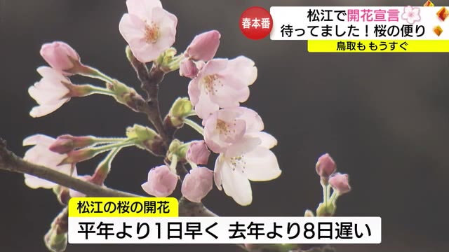 本格的な春の訪れ　松江で「ソメイヨシノ」平年より１日早く去年より８日遅い開花（島根・鳥取）