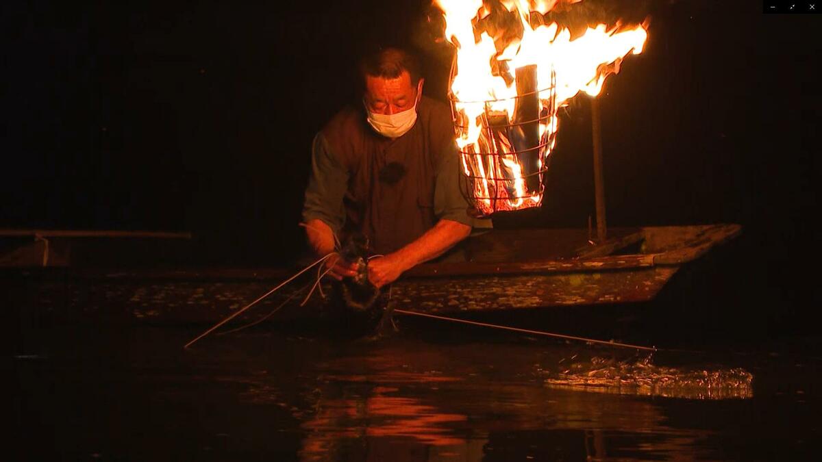 三大鵜飼”も今や2軒 鵜匠の複雑な胸中「淘汰される」 道具の作り手も