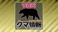 【速報】益田市美都町で男性がツキノワグマに襲われけが　命に別状なし（島根）