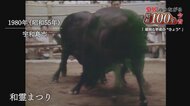 昭和から平成へ「忘れられない夏の思い出」宇和島の闘牛大会から土用の丑の日まで　シリーズ「愛媛の昭和１００年」【愛媛発】