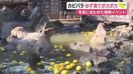カピバラがゆず湯でポカポカ　冬至に合わせた恒例イベント