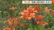 イワユリが“花の島”佐渡に夏の訪れ告げる！漁港では新しい定置網漁船の竣工式「ワクワクして仕事できる」